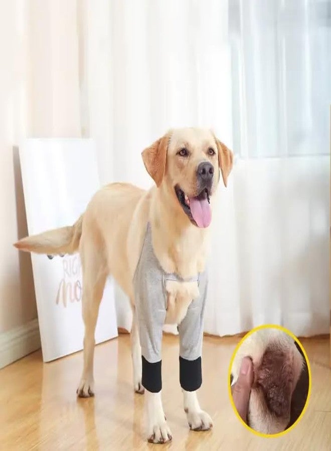 ZeroLuxury® Dog Elbow Brace | Soft Padded Front Leg Sleeve for Dogs | Recovery Support & Wound Protector | Ideal for Injuries, Joint Pain, Post-Surgery | Dog Short Pants (L) - Image 3